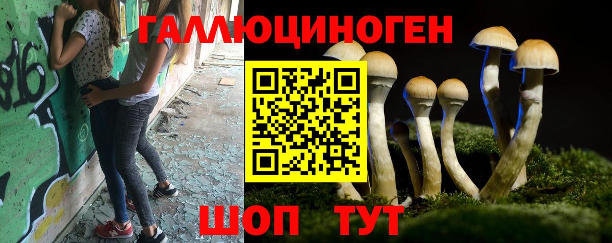 Галлюциногенные грибы прущие грибы Армавир